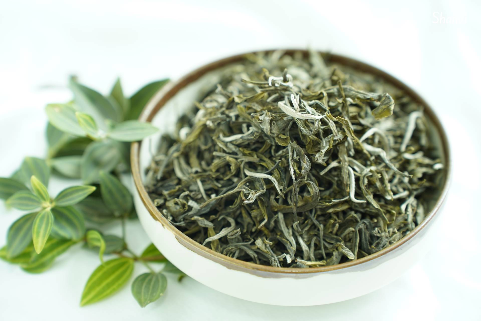 Bách Lục Shan - Ảnh 5